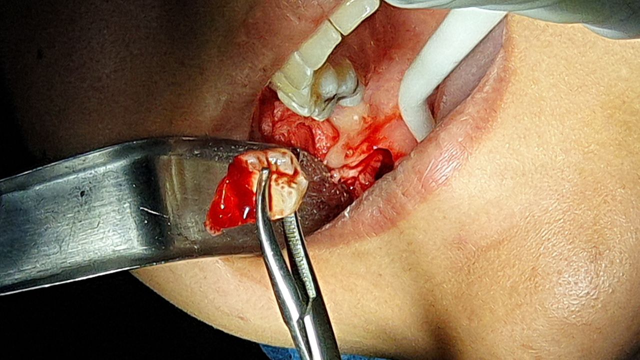 Fabiola Arcos Huesca-55