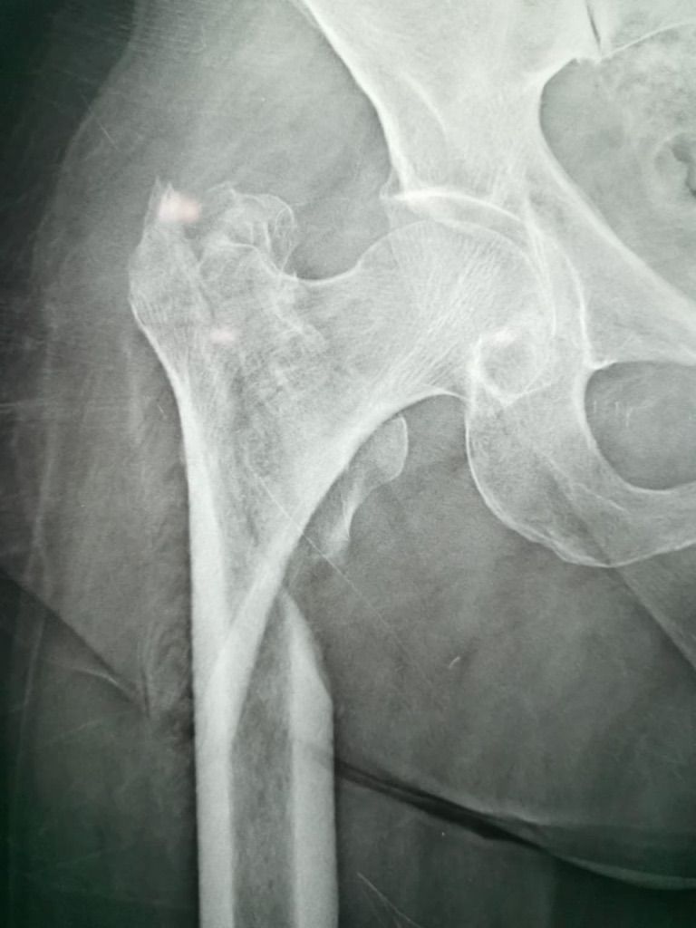 Gisela Cleto Zepeda-62