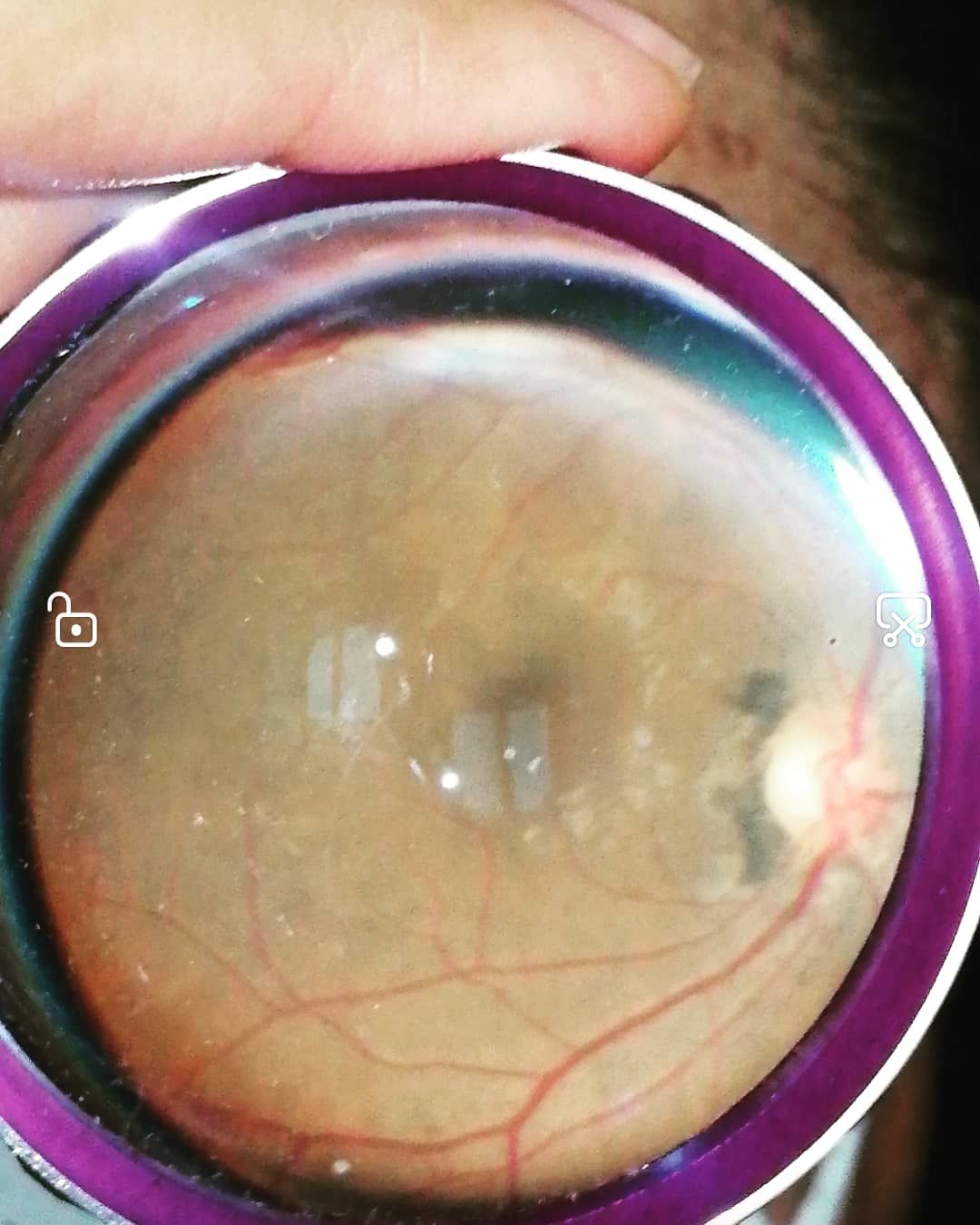 Dalia Méndez Marín-13