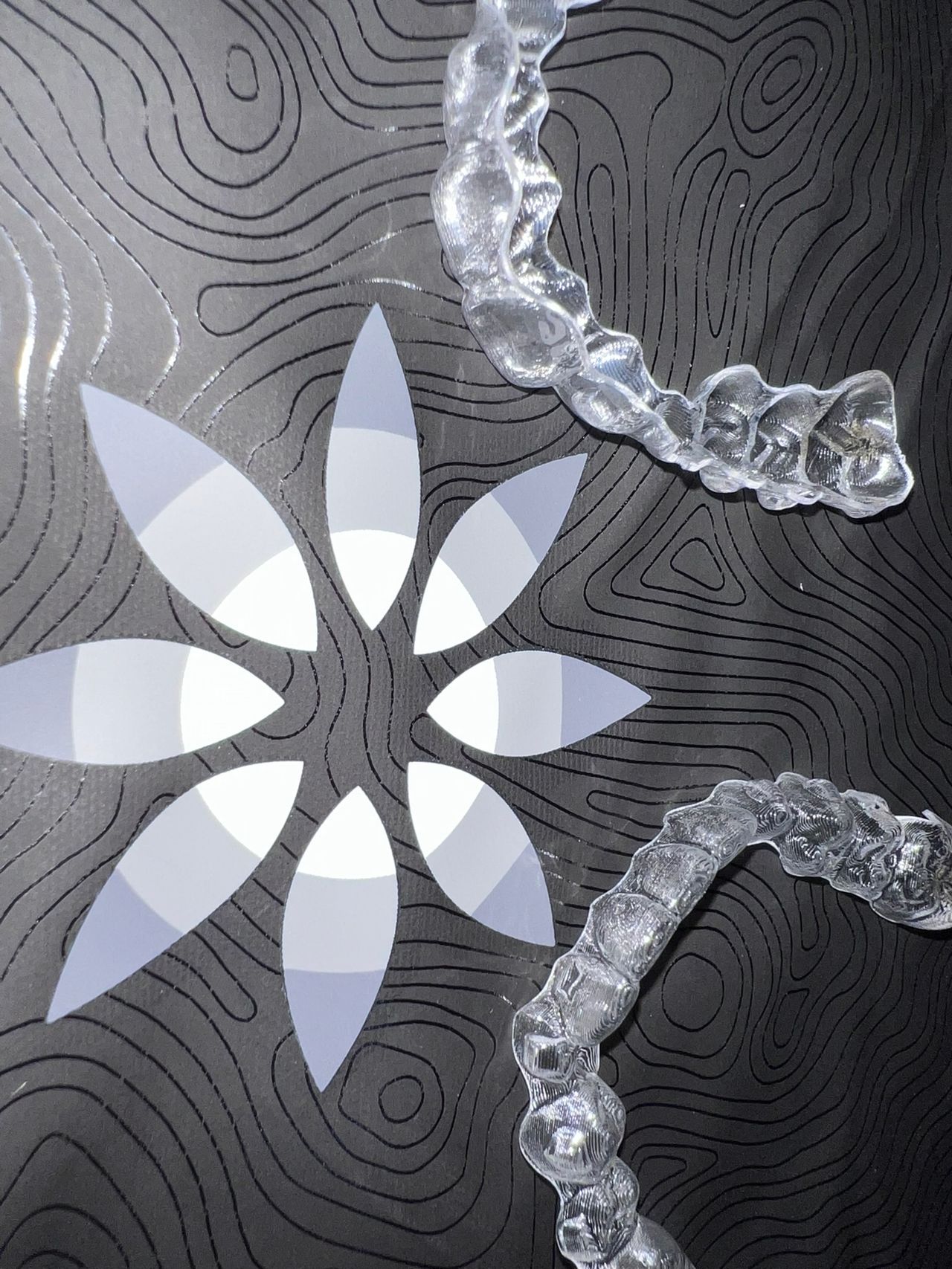 Alberto Companioni Bacha-15