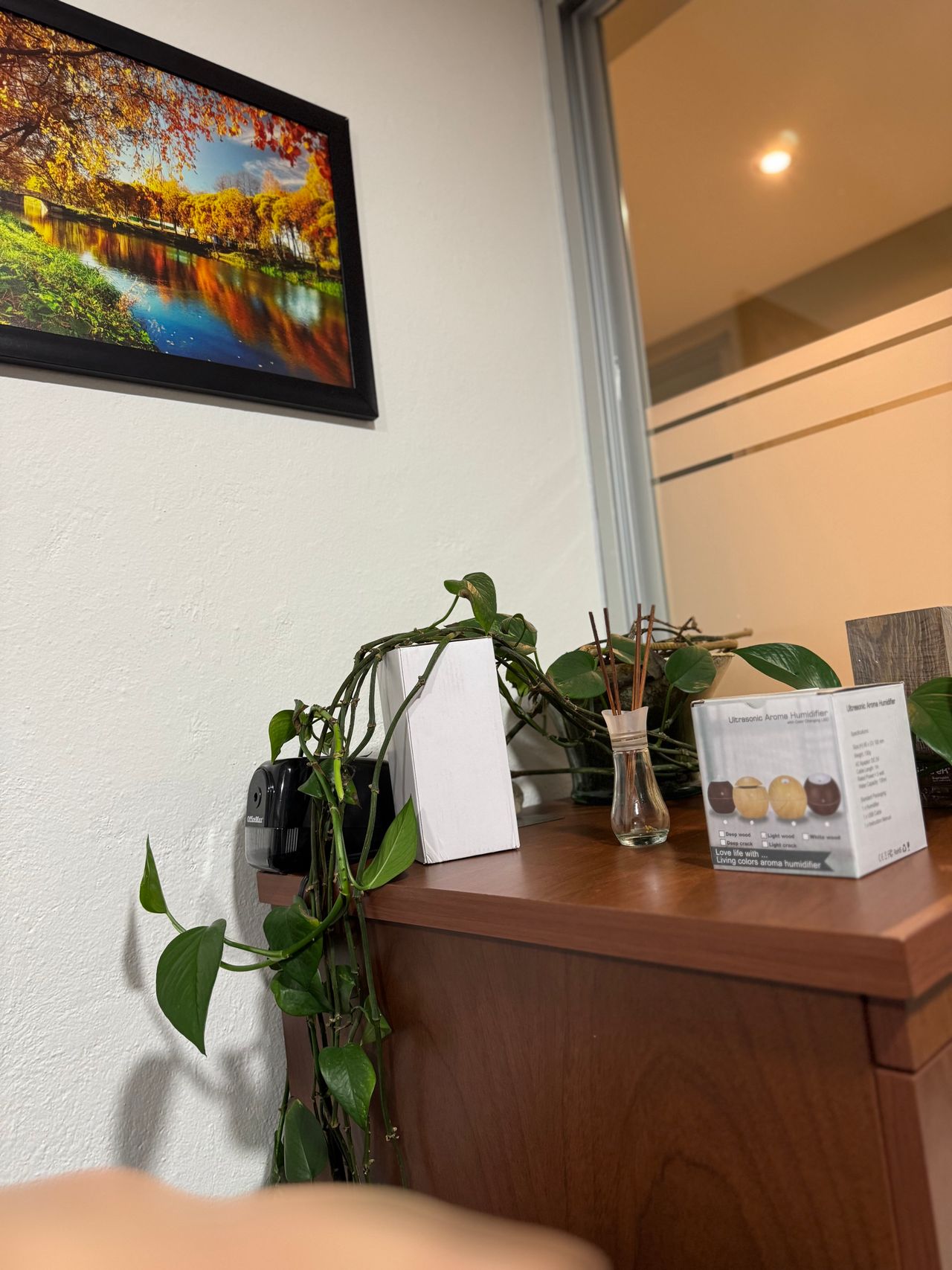 José Carlos Medina-Rodríguez-1