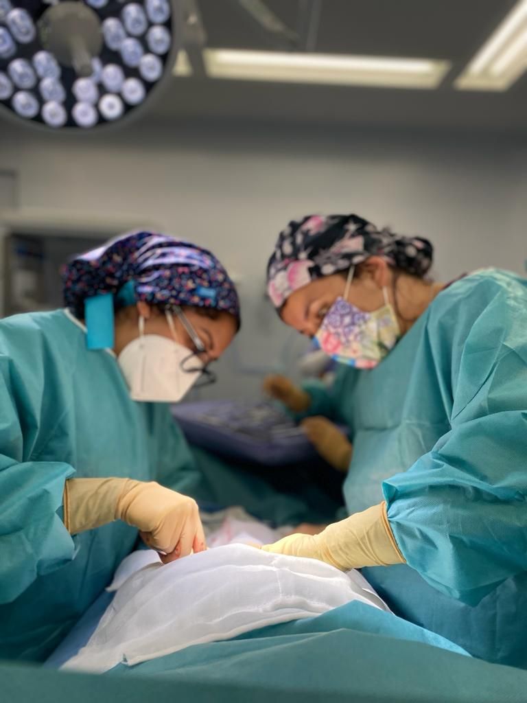 Claudia Mariana Pérez Martínez-0