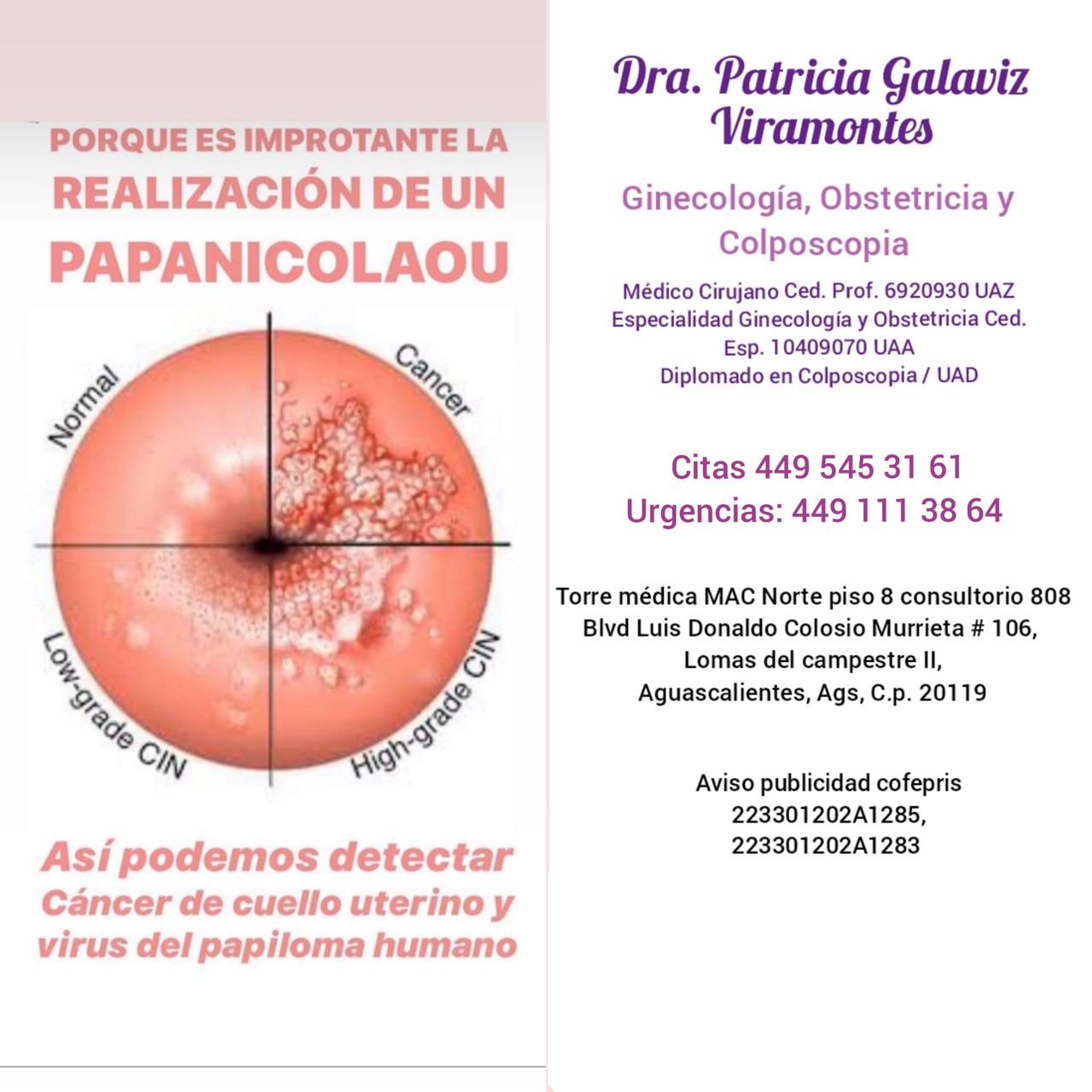 Patricia Galaviz Viramontes-4