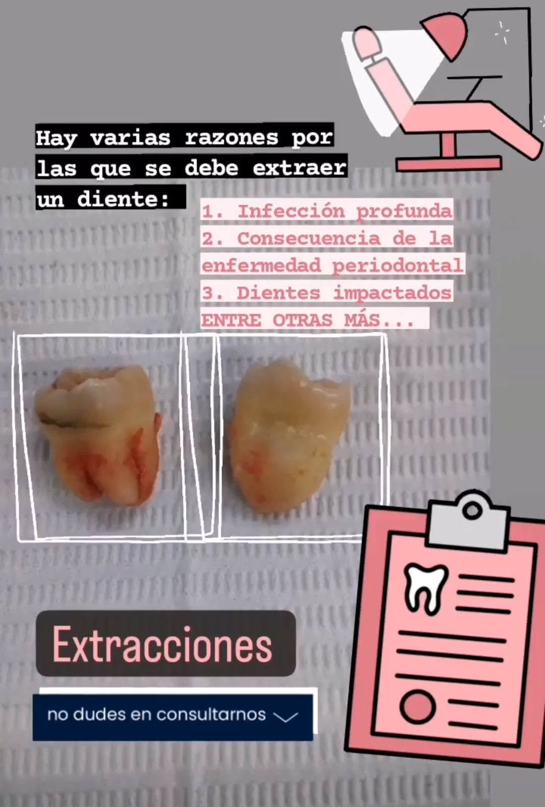 Margarita Estefania Parra Covarrubias-10