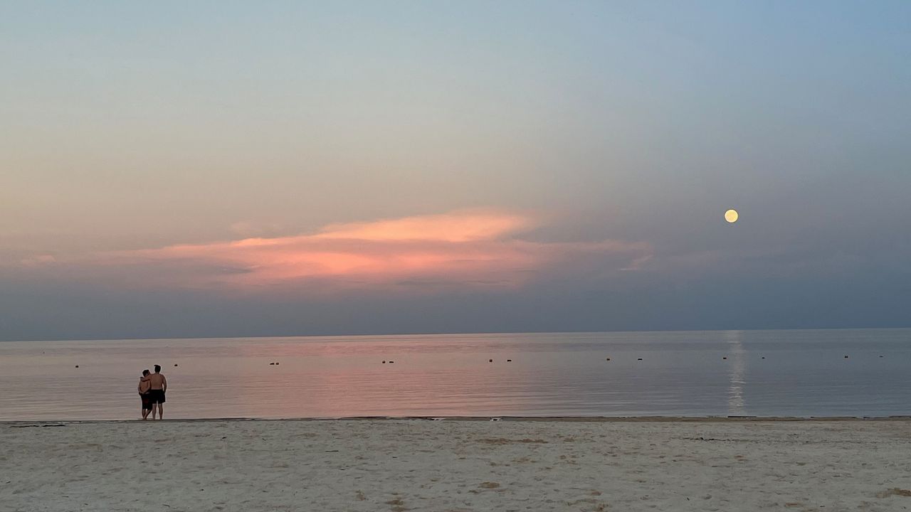 Horacio Contreras Colín-10