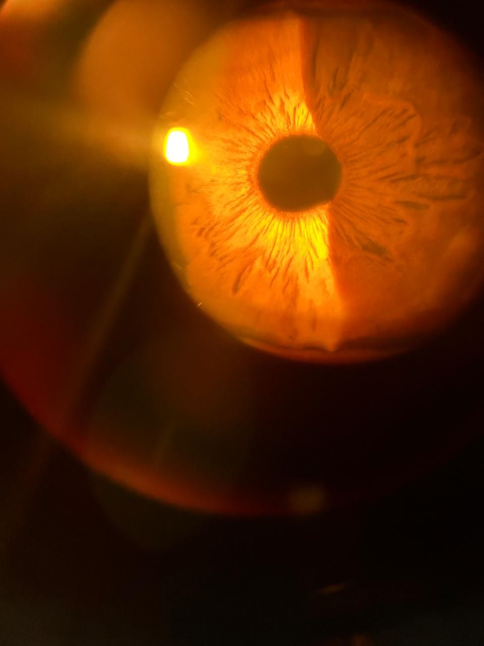 Daniel Martin Laguna Muñoz-44