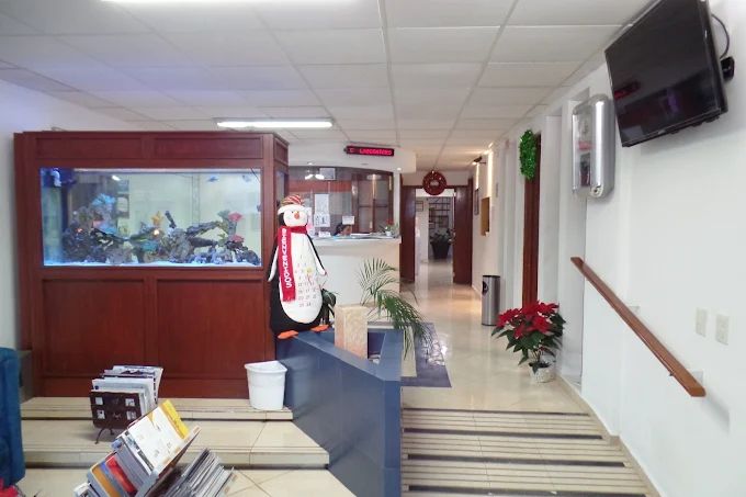 Melchor Alpizar Salazar-3