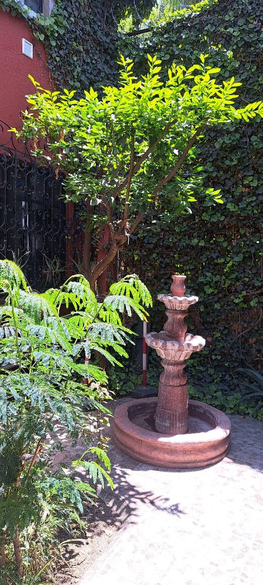 Diana Escolástica Pinal García-6