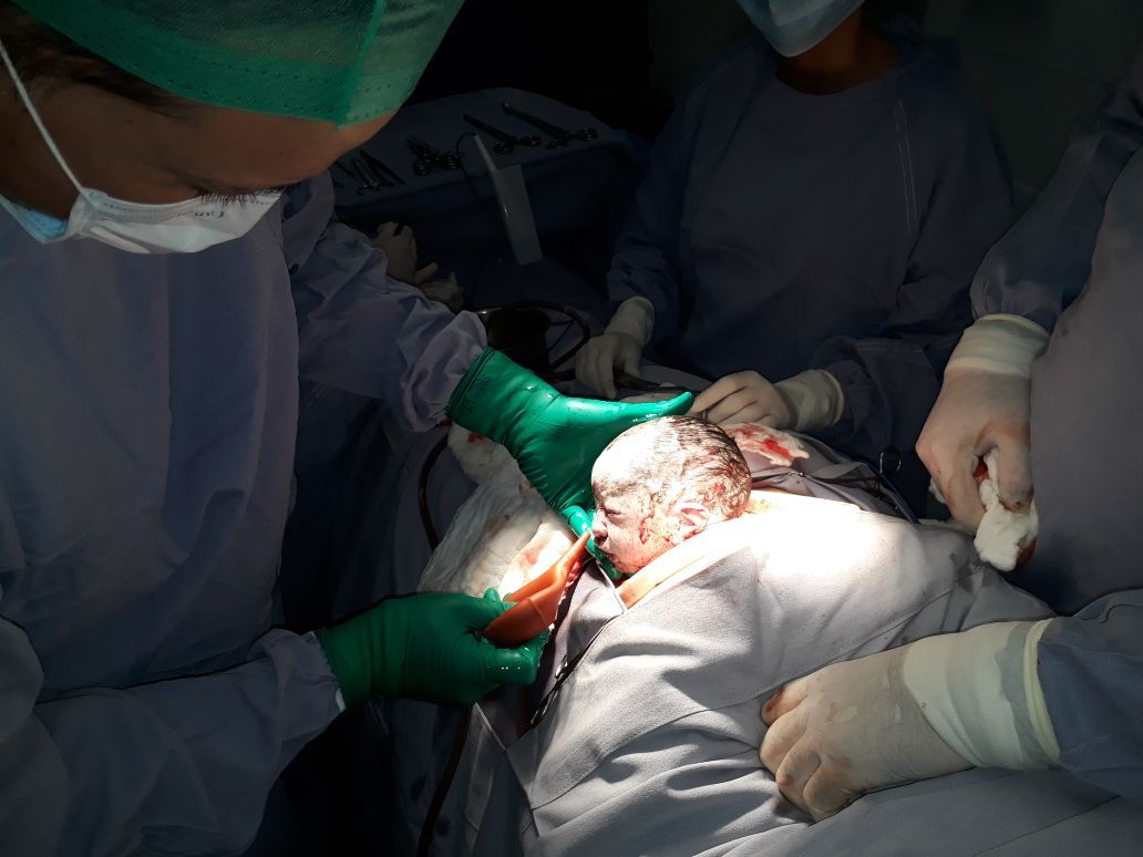 Luis Miguel Campos Olmedo-20