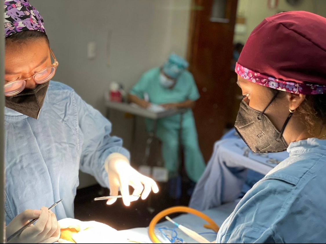 Mariela Quiroz Loperena-10