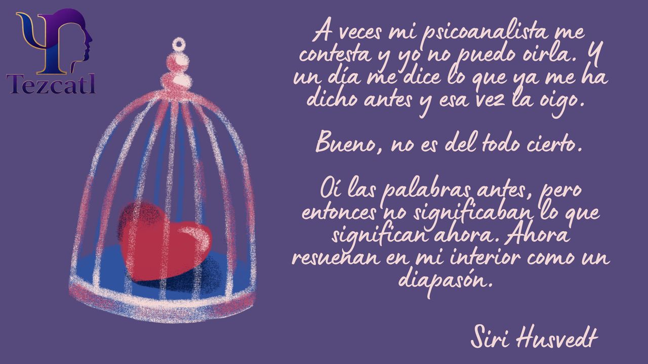 María Del Socorro López Olmedo-6