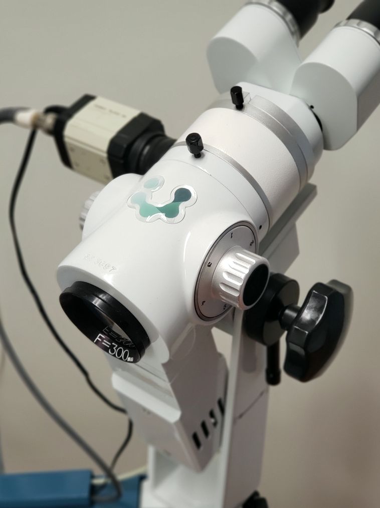 Ana María Núñez Villegas-3