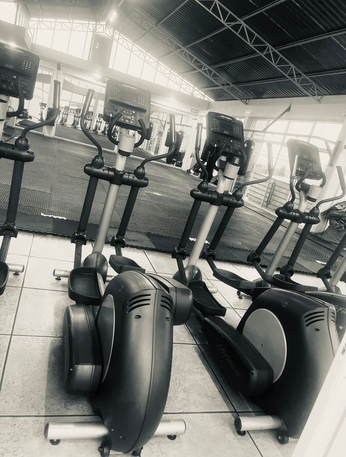 Estefania Alvarez Hernandez-3