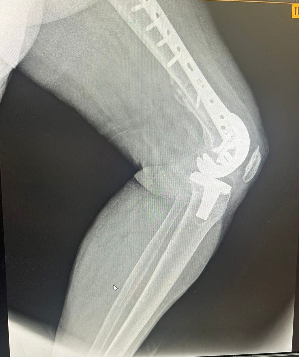 Viridiana Mena Villalobos-6