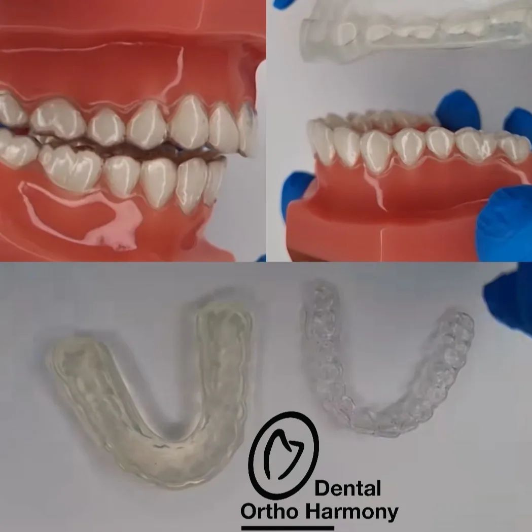 Leticia Montemayor Estrada-24