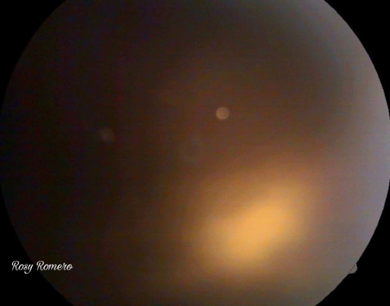 Rosa María Romero Castro-16