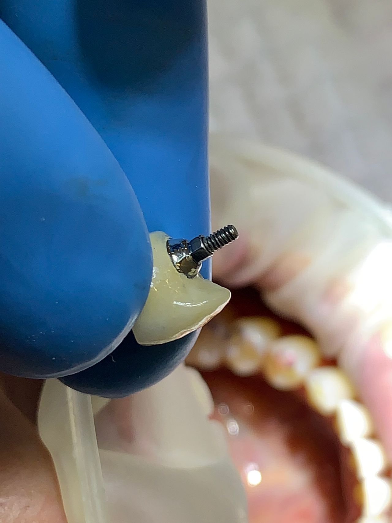 Alberto Miguel Rodriguez Soto-48