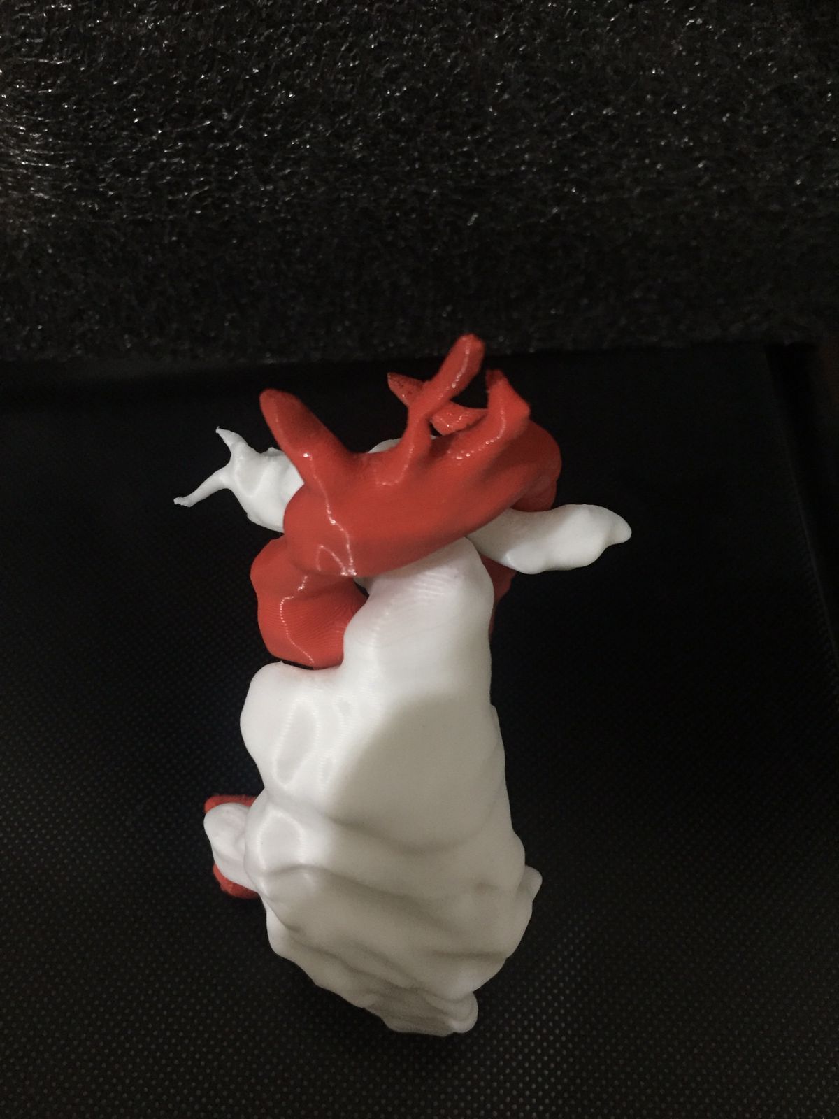 Guillermo Godoy Rábago-16