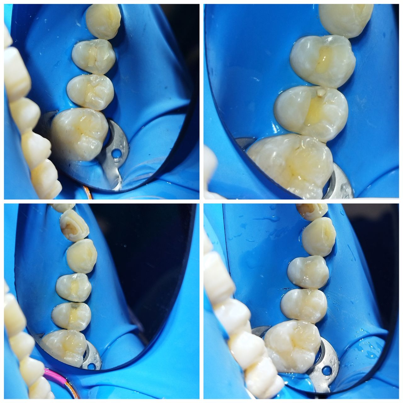 Maribel Domínguez G.-5