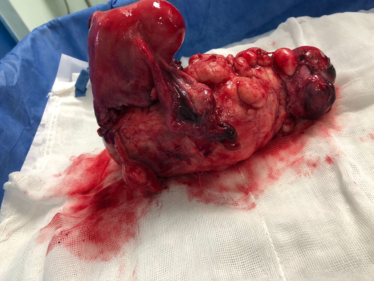 Corina Sánchez Jaimes-3