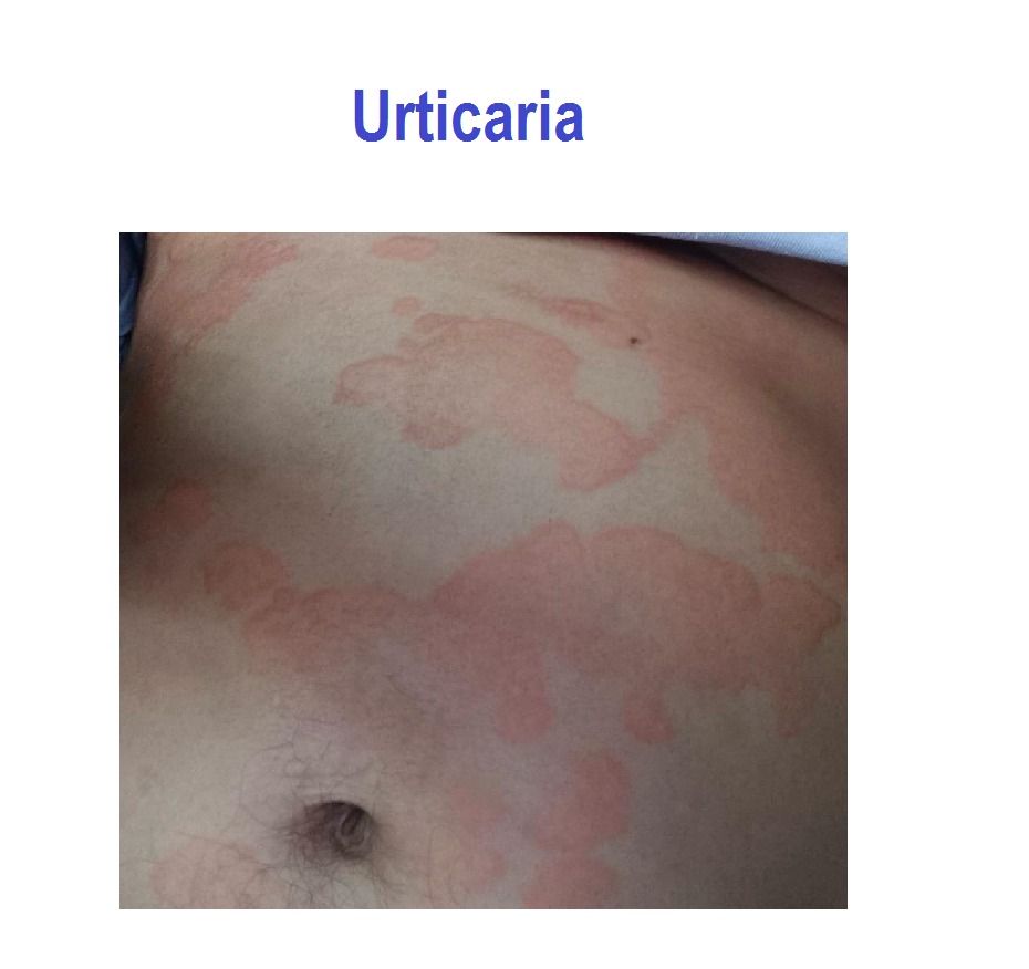 Nadia Tapia Pastrana-0