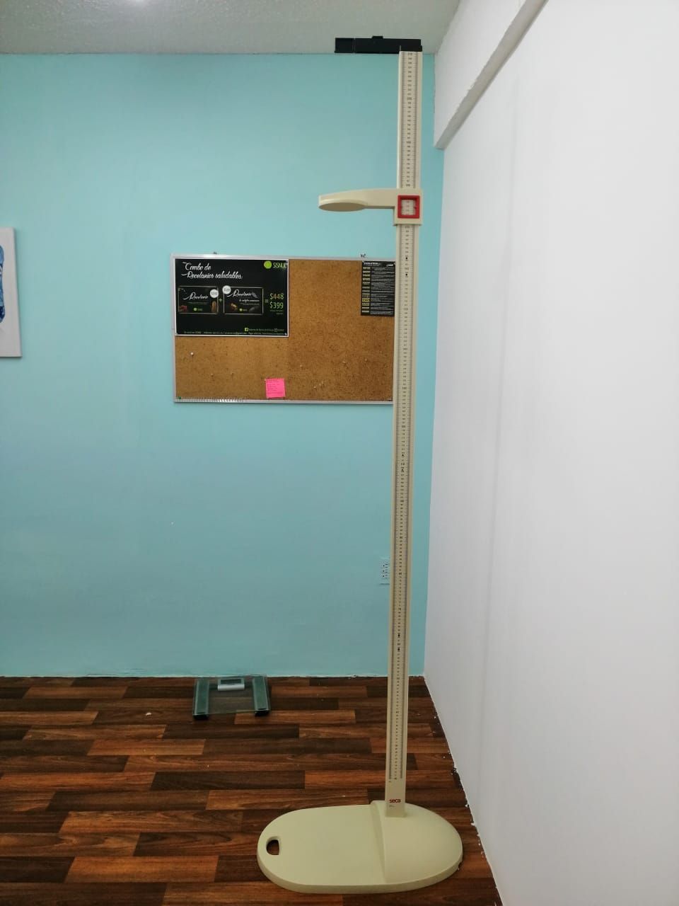 Diana D. Dehesa Gómez-4