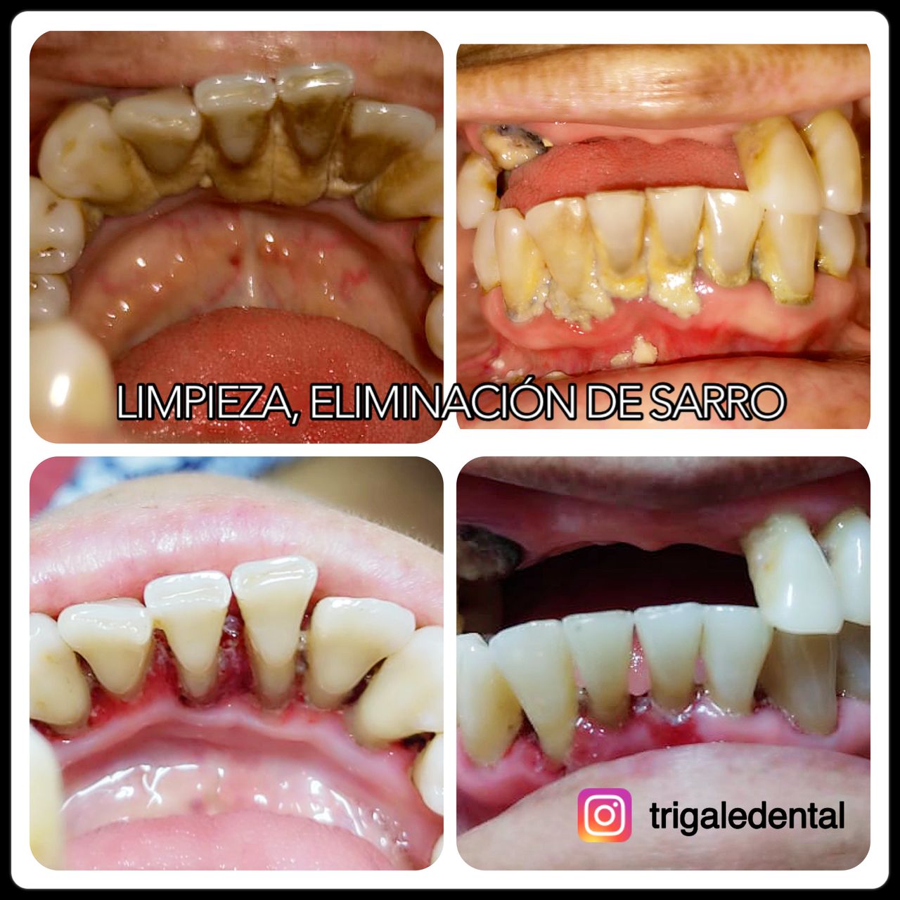 Rocío Gomez Castillo-8