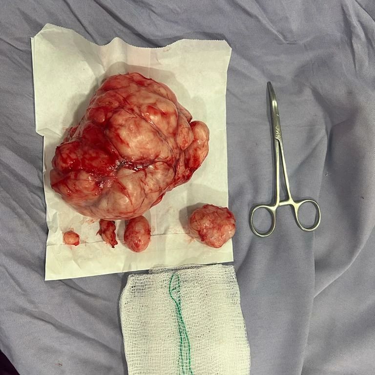 Joel Porcayo Garcia-9