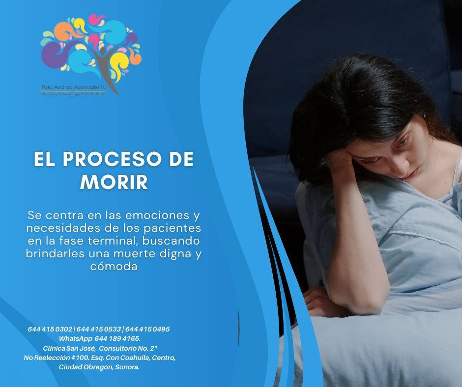 Andrea Alejandra Avendaño Valenzuela-6