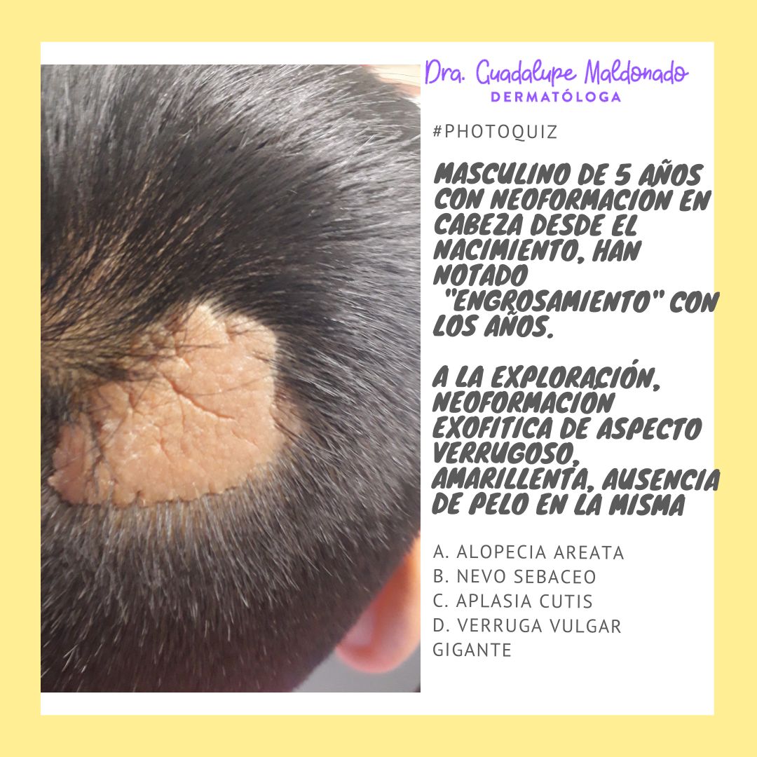 Guadalupe Maldonado Colín-8