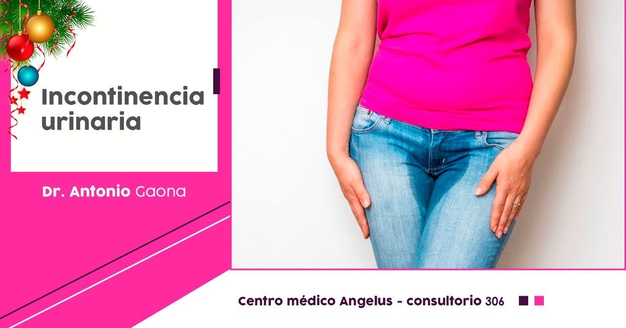 José Antonio Gaona Rodriguez-26