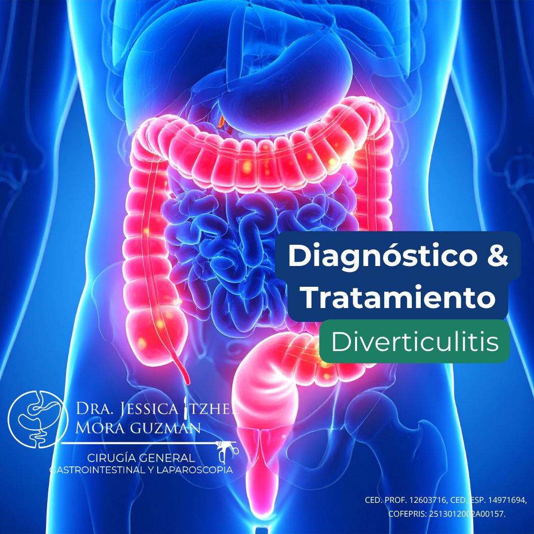 Jessica Itzhel Mora Guzman-2