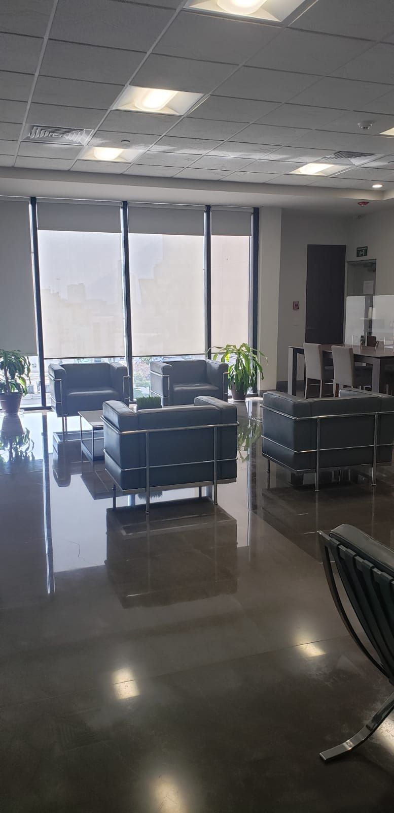 Andrea Morales Carrillo-3