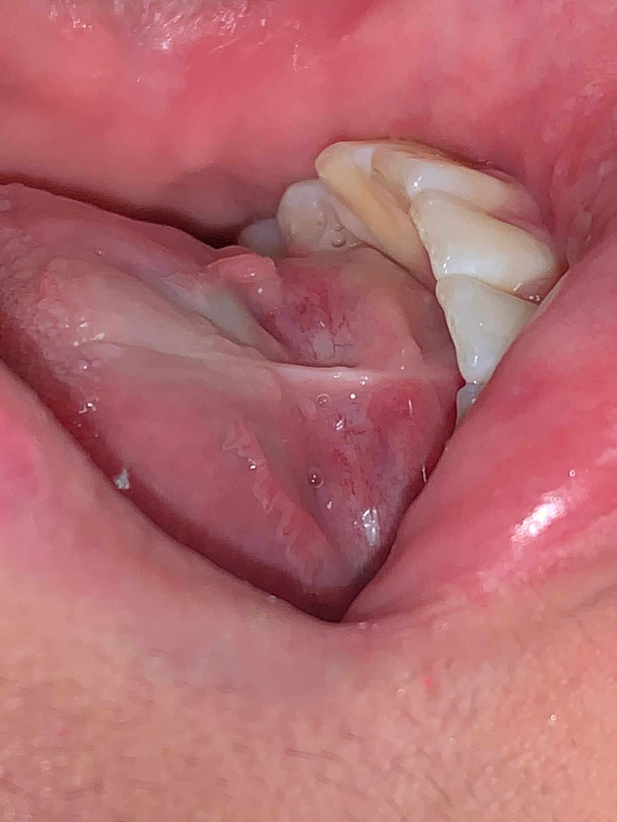 Fernando Olivier Victoriano-1