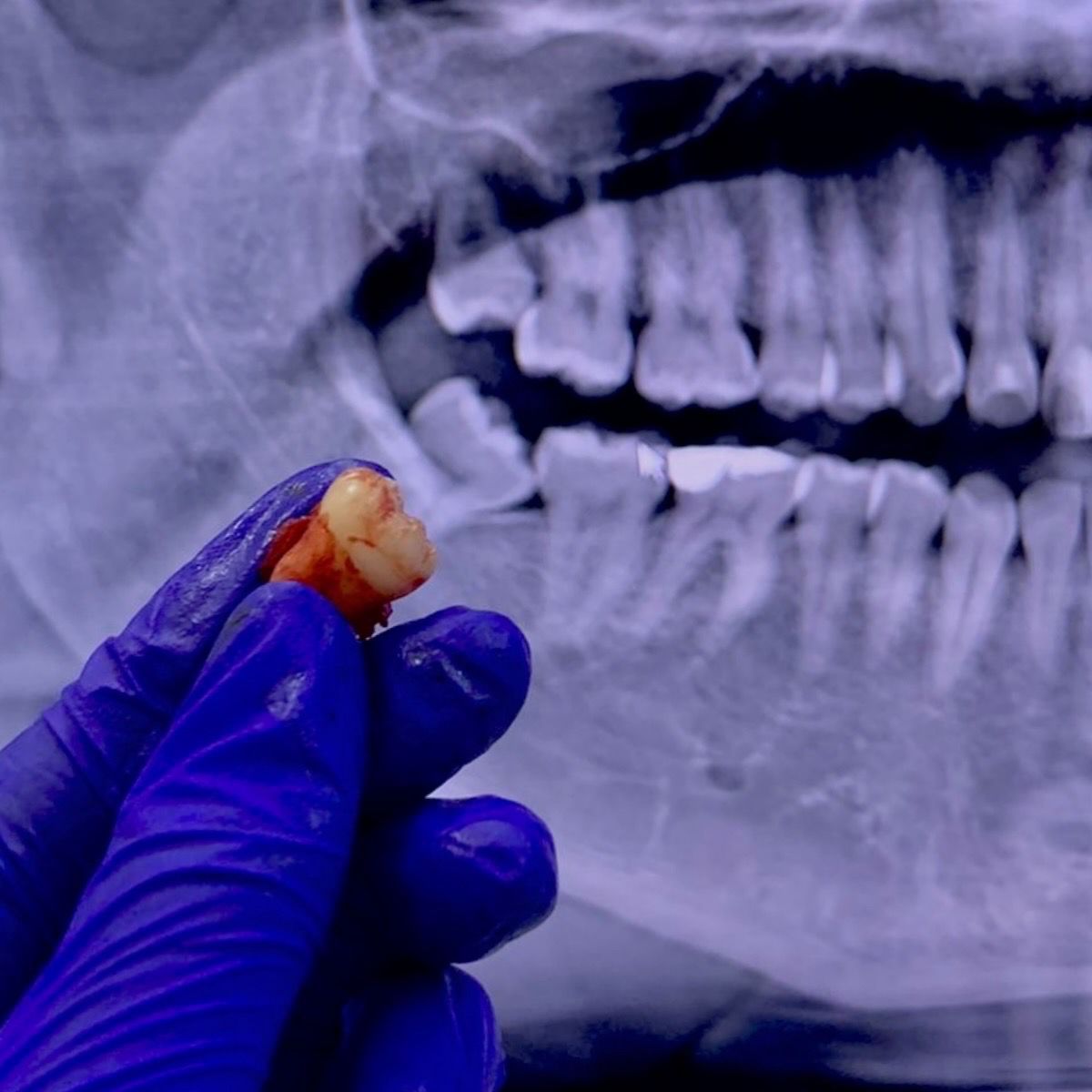 Elda Villarreal Garcia-0