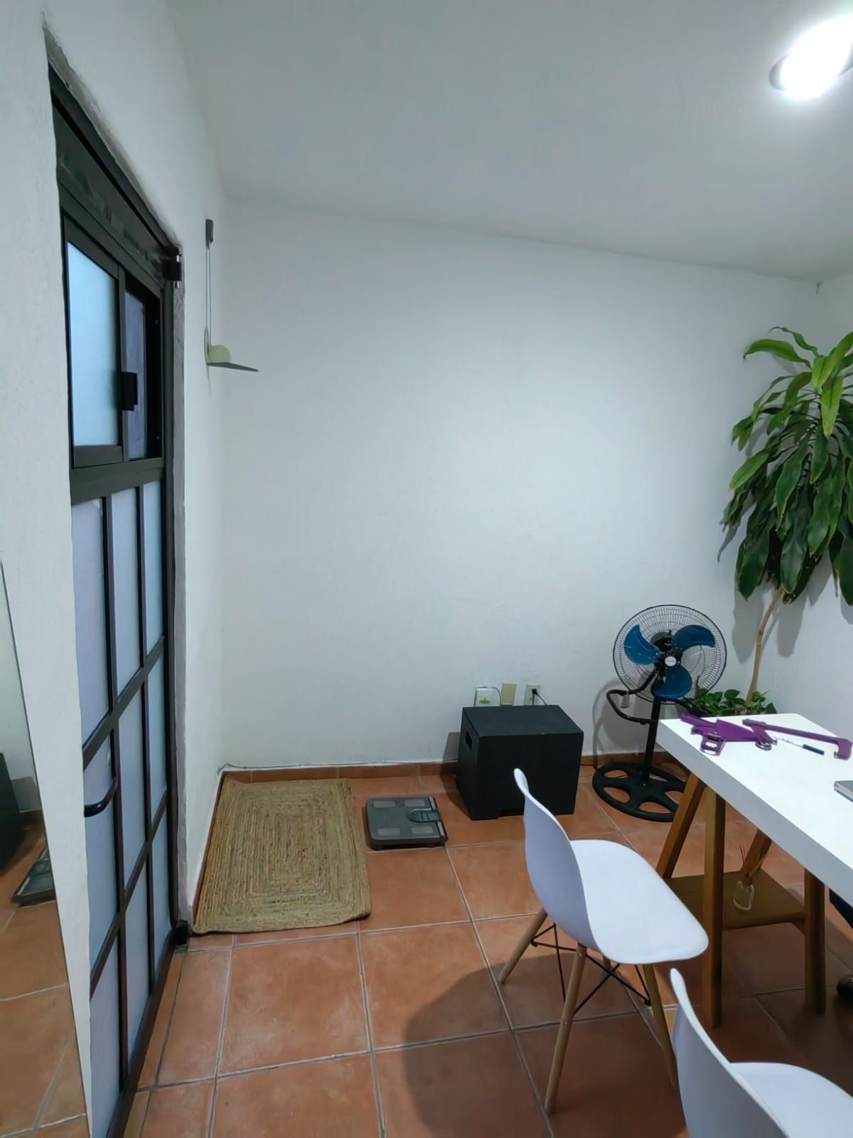 Daniela Alonso Razo-1