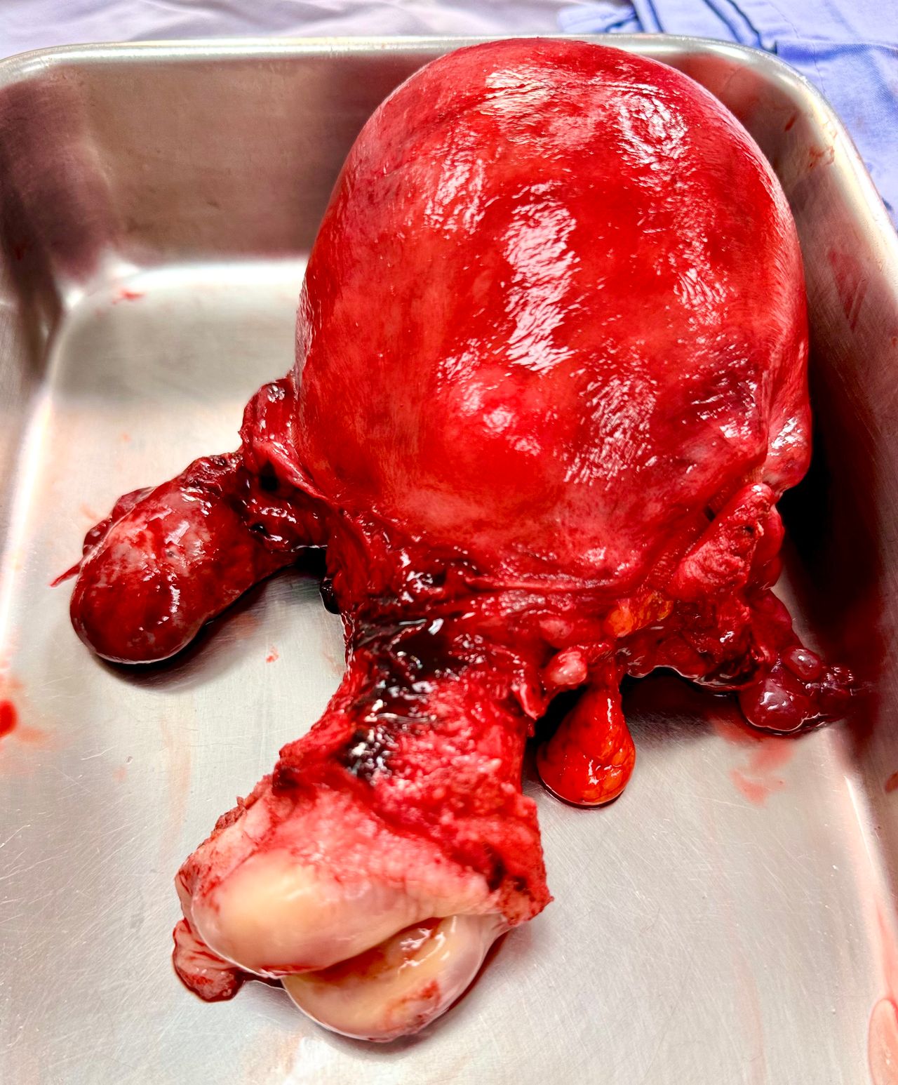 Alejandra Alizbeth Gonzalez Carrillo-45