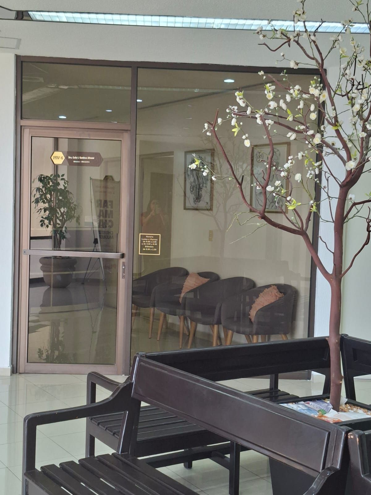 Celia Ivonne Gamboa Altúzar-20