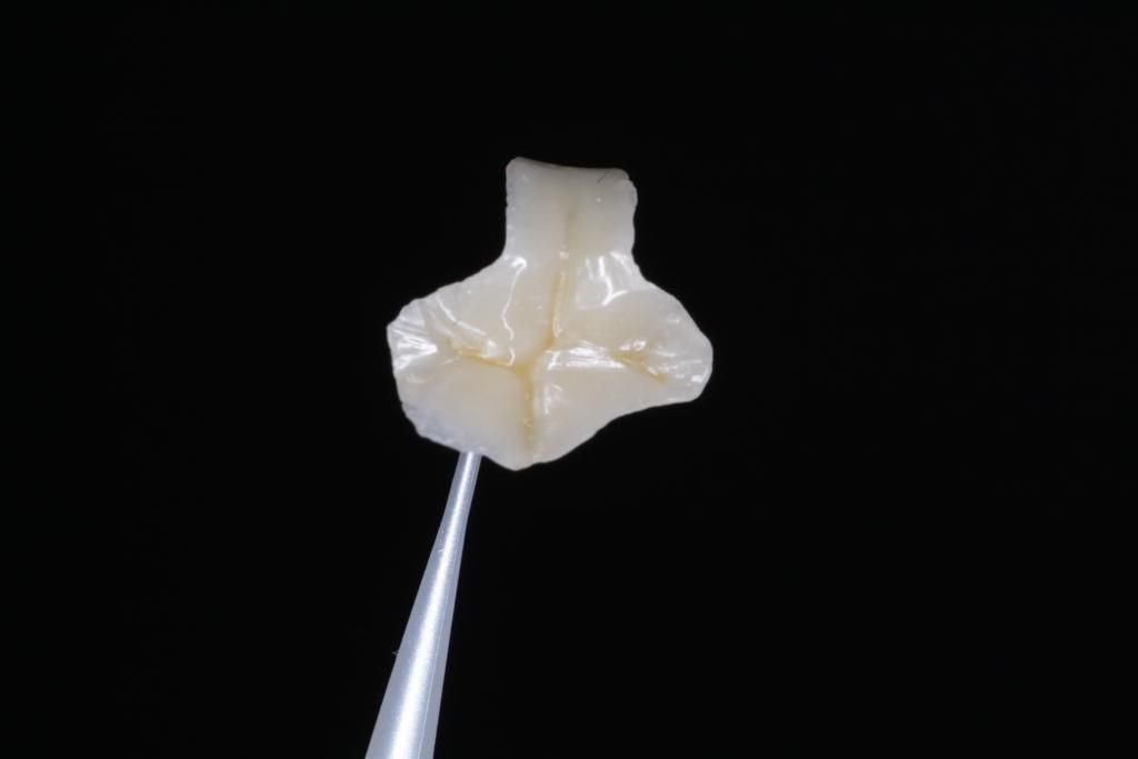 Josué Márquez Gómez-113