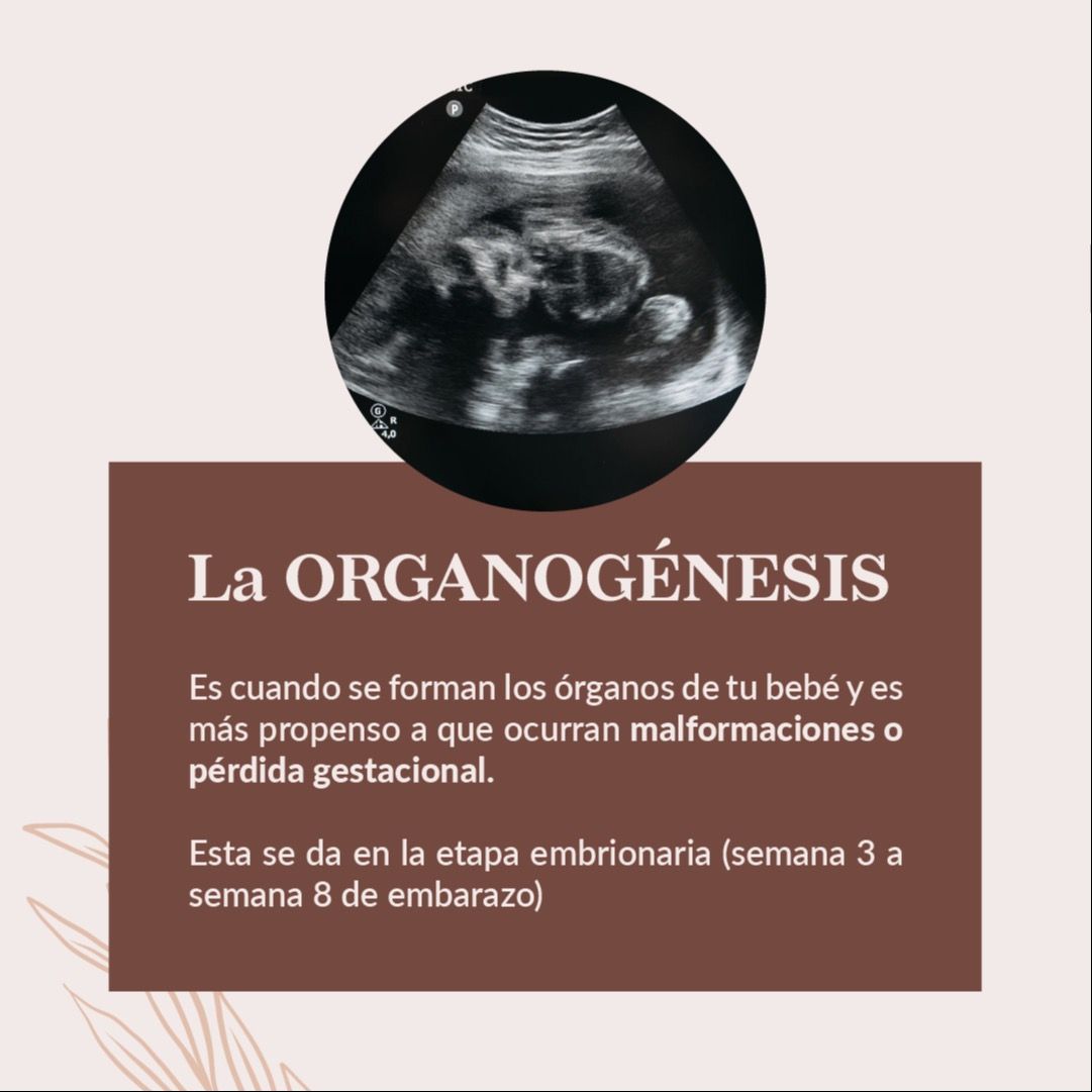 Pamela Alonzo López-7