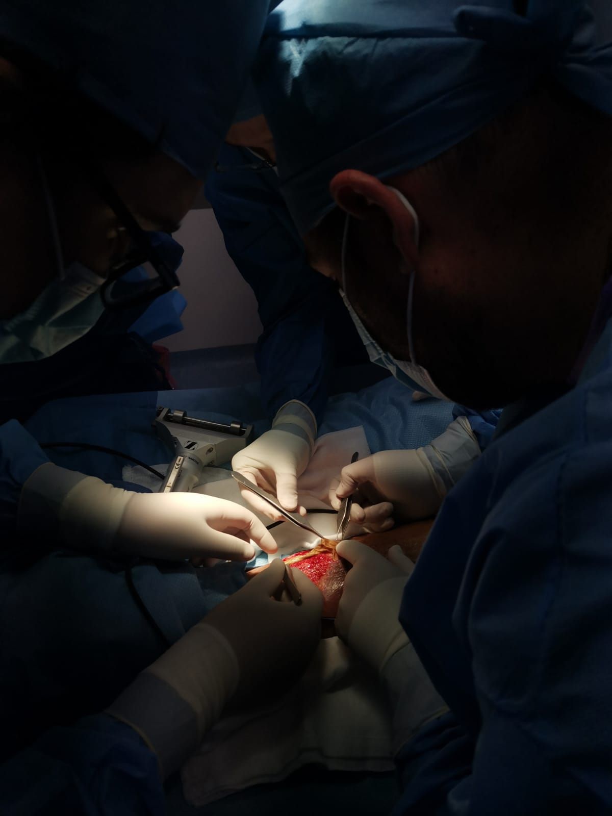 José Fernando Hernández Amador-8