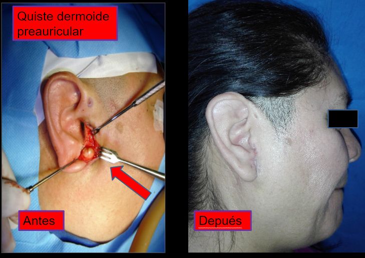 Diana Araceli Dávila Hernández-14