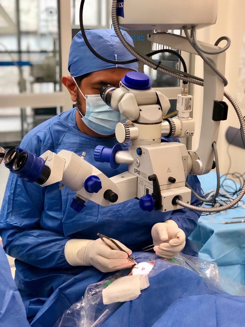 José Francisco Ortega Santana-6