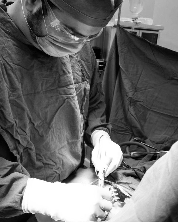 Mario Domínguez De La Peña-9