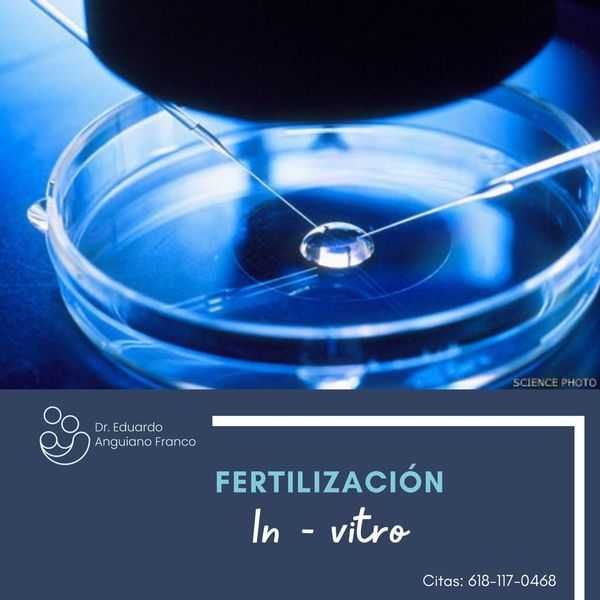 Eduardo Anguiano Franco-26