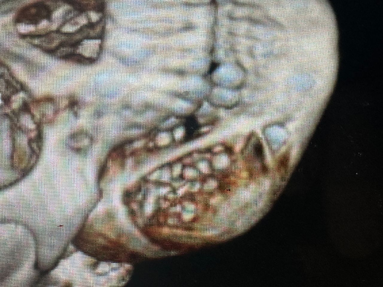 Carlos David Aragon Kuri-9