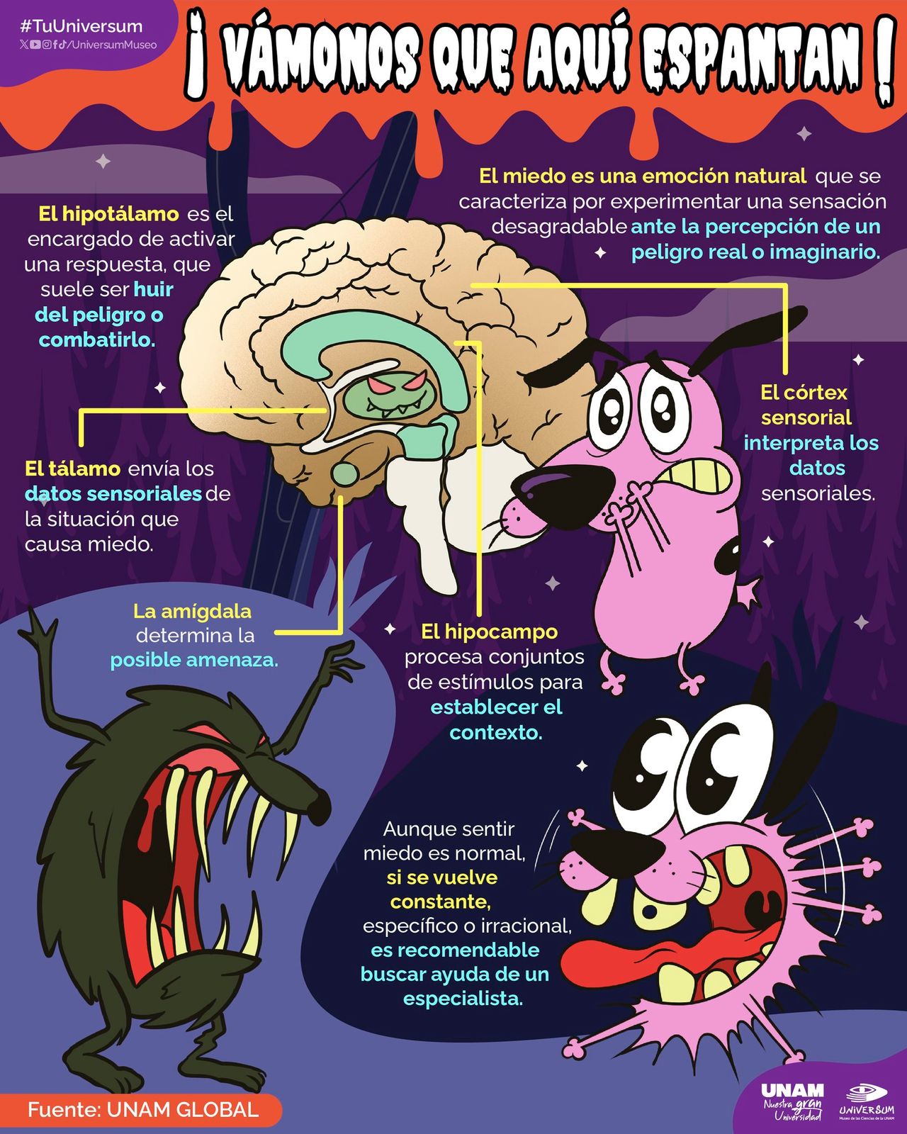 Raymundo Alejandro Cuevas Escalante-405