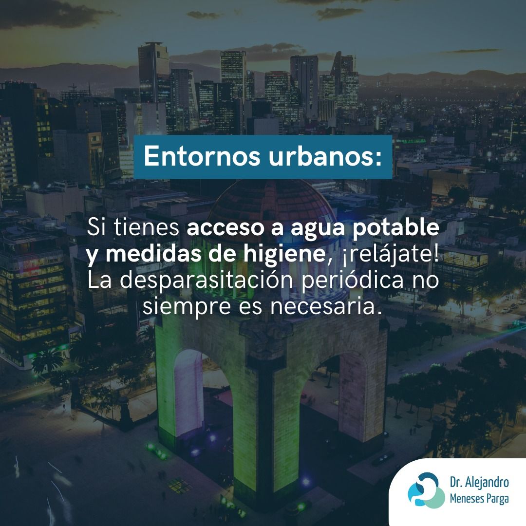 Alejandro Meneses Parga-37