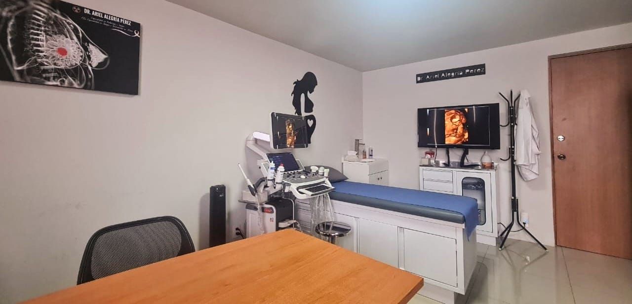 Ariel Alegría Pérez-1