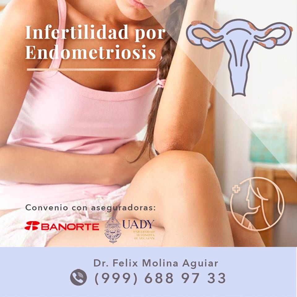 Félix José Molina Aguiar-20